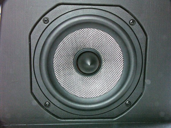 Legacy midrange driver in baffle front_small.jpg (242.26 KiB) Viewed 27873 times Legacy midrange driver in baffle front_small.jpg